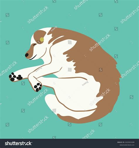 Vector Dog Sleeping Curled Collection Stock Vector Royalty Free