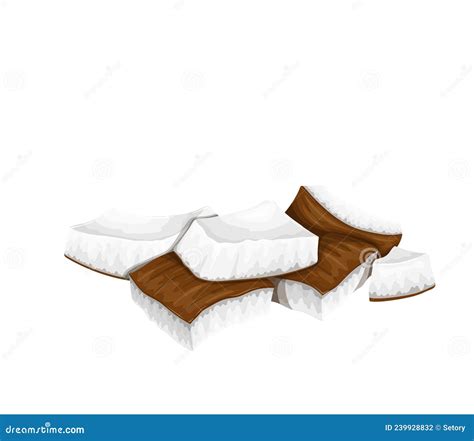 Pieces Of Coconut Stock Vector Illustration Of Tropical 239928832