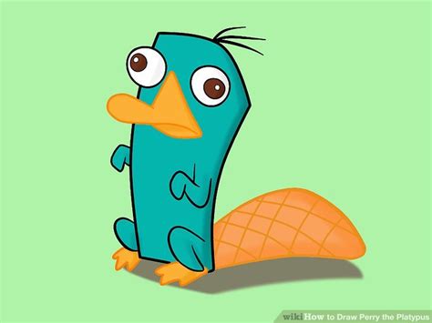 How To Draw Perry The Platypus With Pictures Wikihow