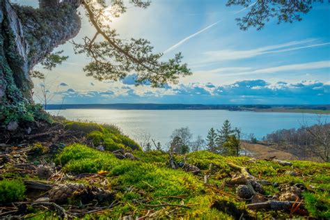 Online Crop Green Grass Field Nature Landscape Summer River HD