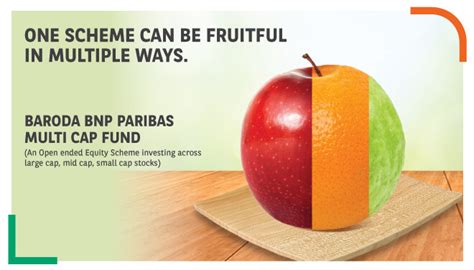 Baroda BNP Paribas Multi Cap Fund Regular Growth Mutual Fund