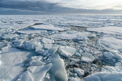 Arctic Sea Ice Winter Peak In Is Fifth Lowest On Record Carbon Brief