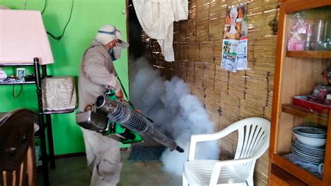 Canoas de Punta Sal Realizan campaña de fumigación masiva contra el