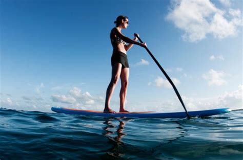 C Mo Elegir Una Tabla De Paddle Surf Pasos