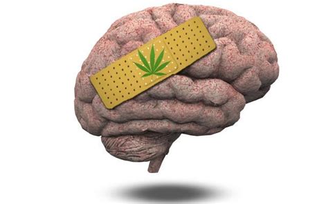 Cómo Afecta La Marihuana Al Cerebro