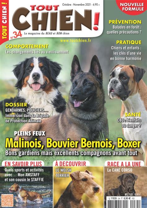 Tout Chien N Num Rique Tout Chien Le Magazine