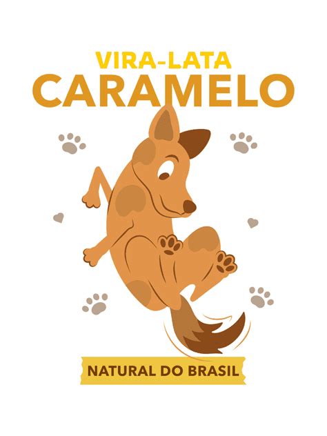 Camiseta Plus Size Vira Lata Caramelo Mypetprince