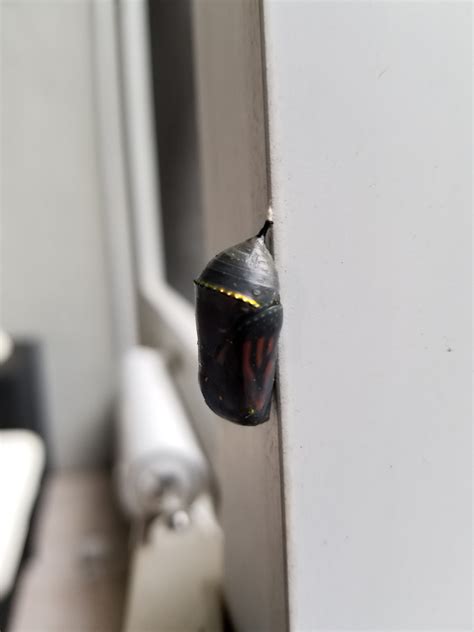 Stephanie Louise Photography