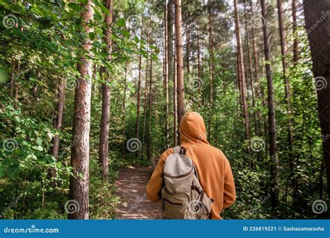 Man Hiking With Backpack In Green Forest Back View Stock Image Image