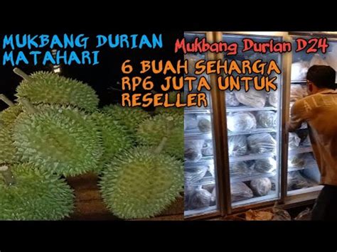 BUAH DURIAN D24 Mukbang Buah Durian D24 Sultan Dan Durian Matahari Di