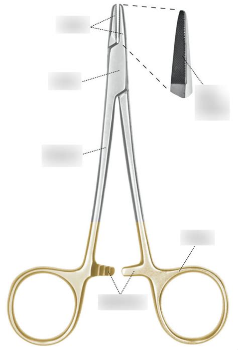 Identification of Surgical Instruments Diagram | Quizlet