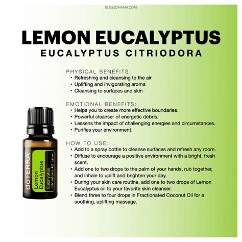 Lemon Eucalyptus Essential Oil Benefits Uses Sourcing With Doterra