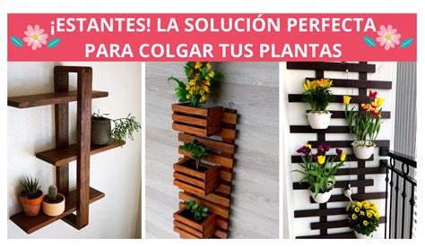 ¡estantes La Solución Perfecta Para Colgar Tus Plantas Si Tienes Poco