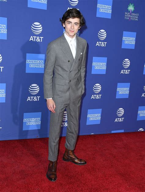 Hot Timoth E Chalamet Pictures Popsugar Celebrity Photo