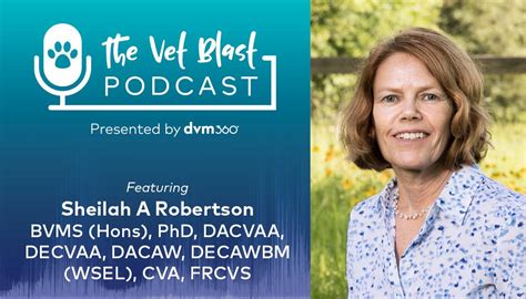 Podcast CE: Osteoarthritis in cats: diagnosis and treatment options