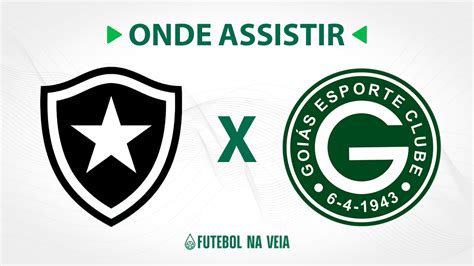 Botafogo X Goi S Onde Assistir Ao Vivo Hor Rio Do Jogo E Escala Es