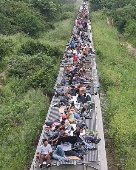 La Bestia El Tren De La Muerte O El Tren De La Esperanza