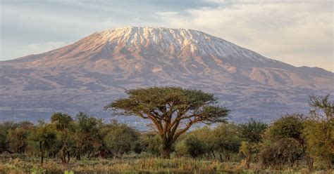 Majestic Views Of Mount Kilimanjaro