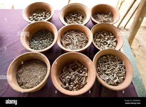 Central Province Matale Spice Garden Sri Lanka Bowls Of Dried