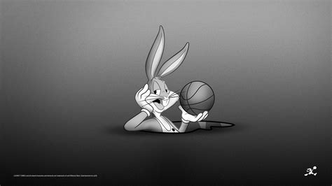 Lola Bunny Wallpaper 65 Images