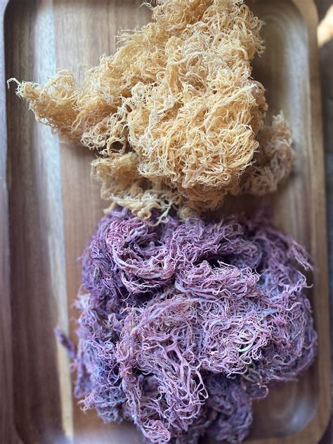 Wildcrafted Purple St Lucian Sea Moss Gel 16 Oz Jar Etsy