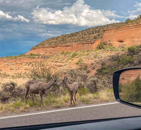 9 Best Hikes in Colorado National Monument (According to a Local ...