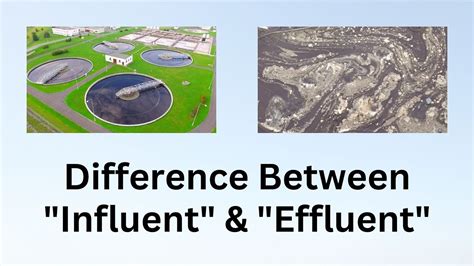 Difference Between Influent And Effluent Unraveling The Mysterious