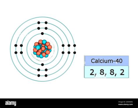 Configuración De Electrones De Calcio Ilustración De La Estructura Atómica Y Configuración De