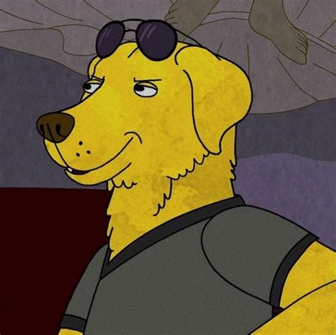 So Canonically Mr Peanutbutter Is Bald Right Rbojackhorseman