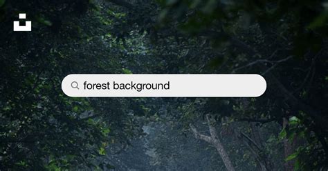 550 Forest Background Pictures Download Free Images On Unsplash