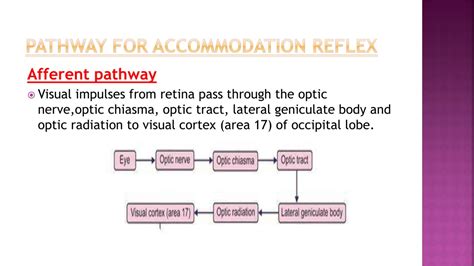 PPT - Accommodation reflex opthamalogy mbbs pptx slides PowerPoint ...