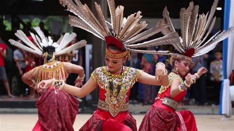 Beda Suku Dayak dan Banjar, Penduduk Asli di Pulau Kalimantan