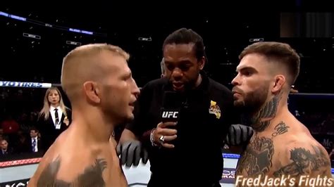 Tj Dillashaw Vs Cody Garbrandt Highlights Rivalry Over Ufc Mma