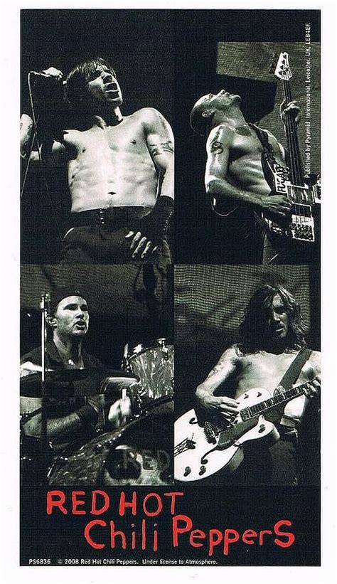 Amazon Co Jp Sticker Red Hot Chili Peppers Live