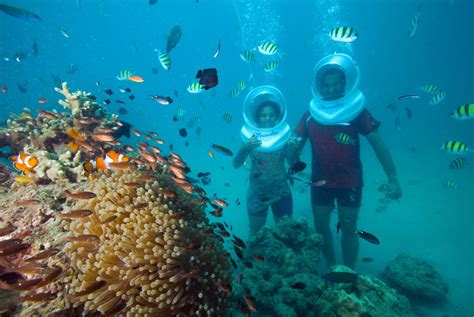 Blissful Sea Walking 1 At Havelock Swaraj Dweep Andaman