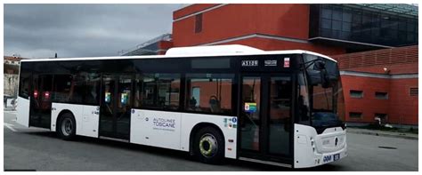 Paura Sul Bus Pretendono Di Fumare A Bordo In Quattro Aggrediscono