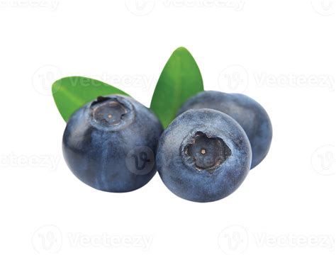 berry png transparent background 29228911 PNG