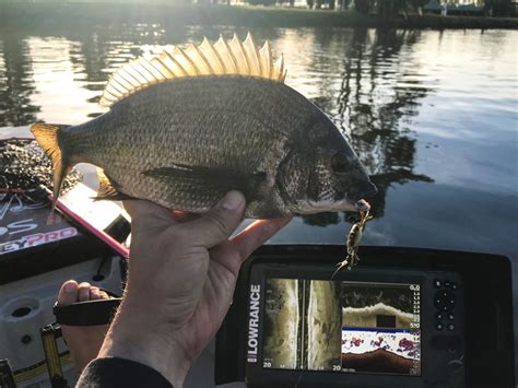 Lowrance TripleShot Ready | BerleyPro