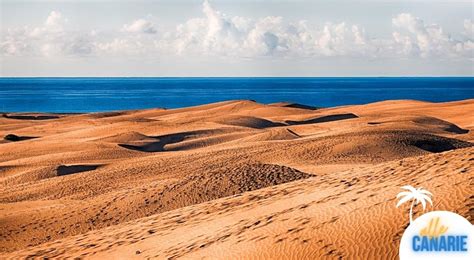 Le Dune Di Maspalomas Il Deserto Ad Un Passo Dalla Spiaggia Alle