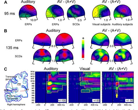 Figure From Electrophysiological Eeg Seeg Meg Evidence For