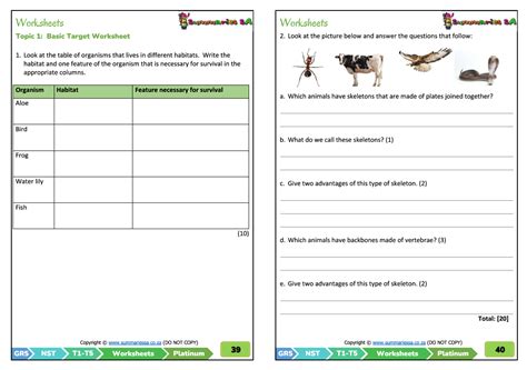 Grade 5 Natural Sciences & Technology Term 1 (NST) (Platinum) - Activities and Worksheets ...