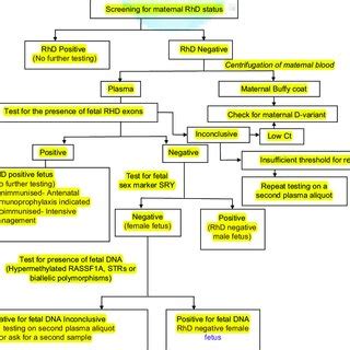 PDF Noninvasive Fetal RHD Genotyping From Maternal Plasma