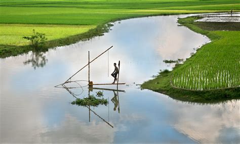 Impacts of climate change on fish production in Bangladesh | Seafood Network BD