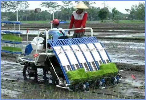 China Paddy Rice Transplanter Machine Price 4 6 10 Rows Manual Mini