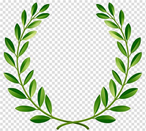 Leaves Bay Laurel Laurel Wreath Green Transparent Background Png