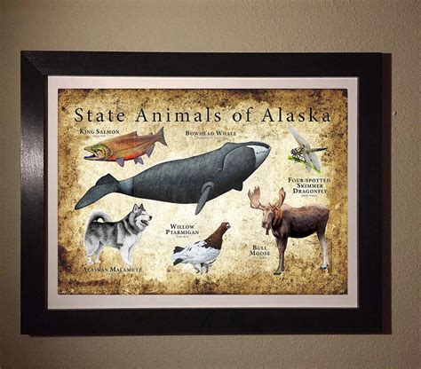 Alaska State Animals Poster Print Etsy