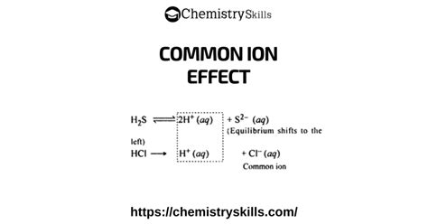 Common Ion Effect On Solubility Pogil Answers