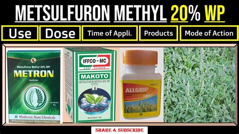 Metsulfuron Methyl Wp Herbicide Use Dose Time Of