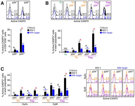 Effect Of Vpr On Apoptosis And Its Relevance In G2 Cell Cycle Arrest In