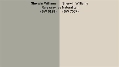 Sherwin Williams Rare Gray Vs Natural Tan Side By Side Comparison